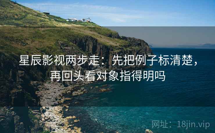 星辰影视两步走：先把例子标清楚，再回头看对象指得明吗